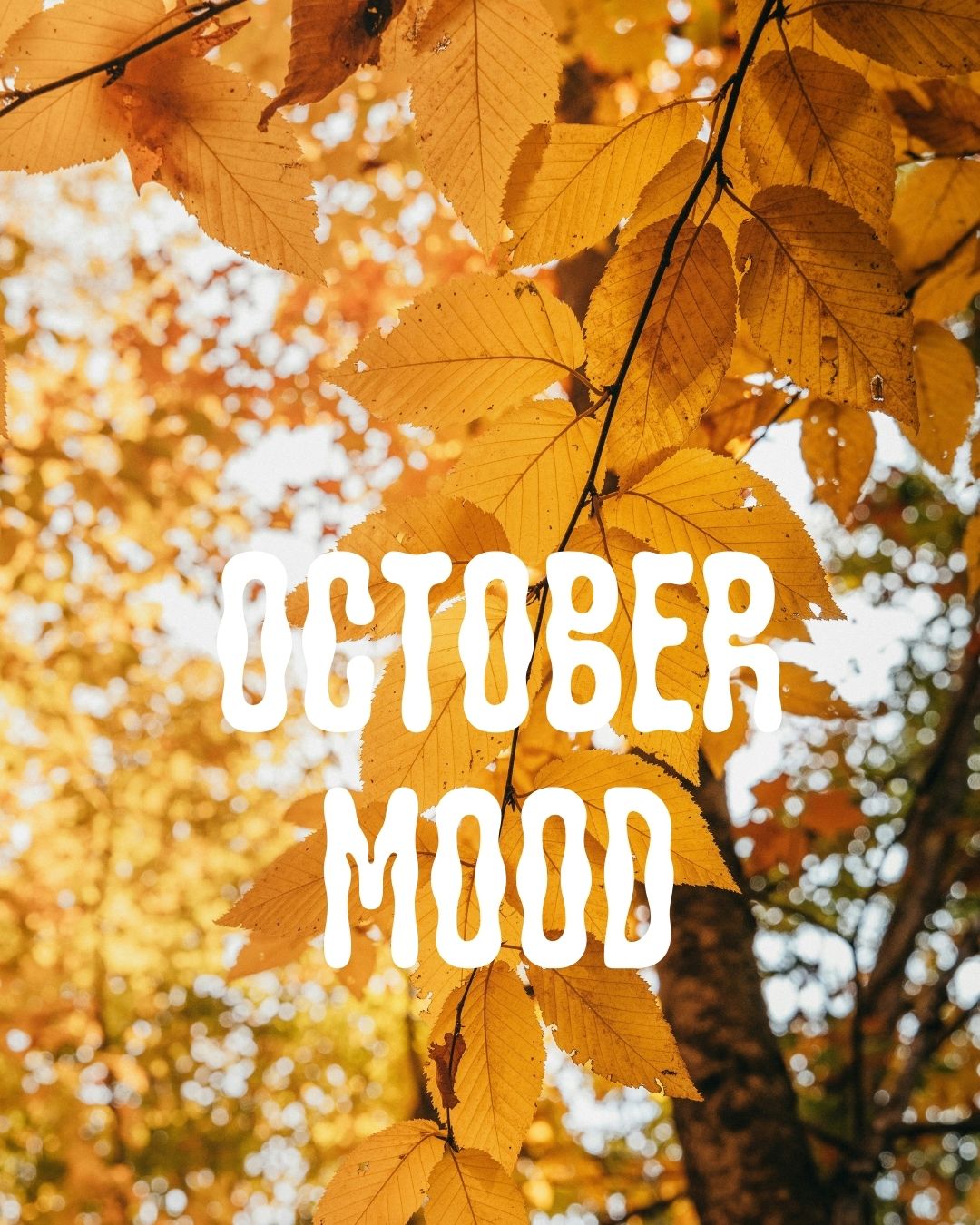 October: A Monthly Muse