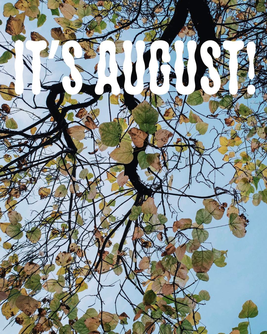 August: A Monthly Muse