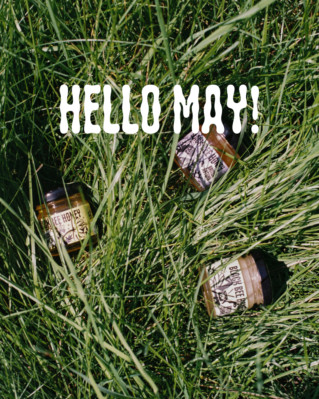 May: A Monthly Muse