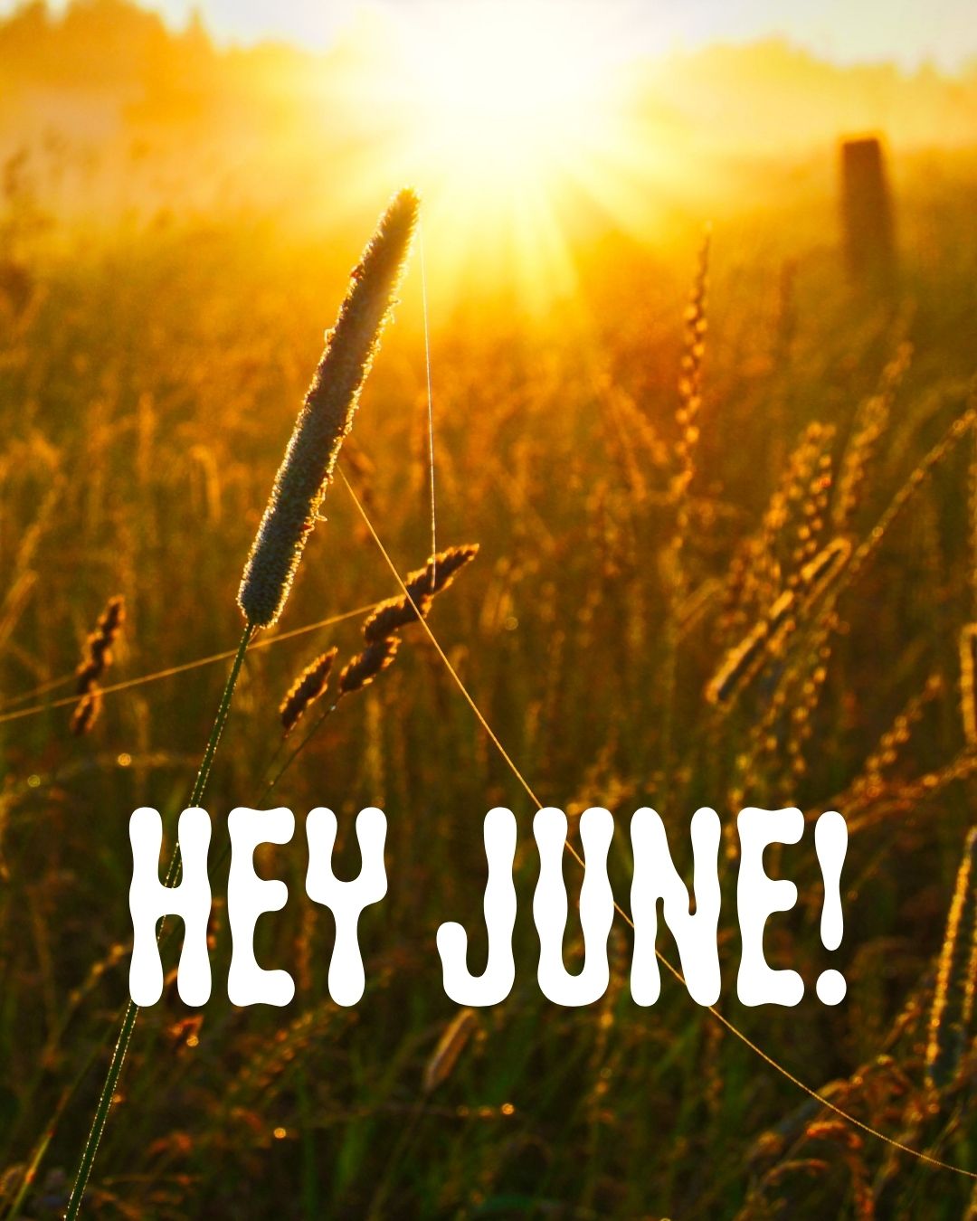 June: A Monthly Muse