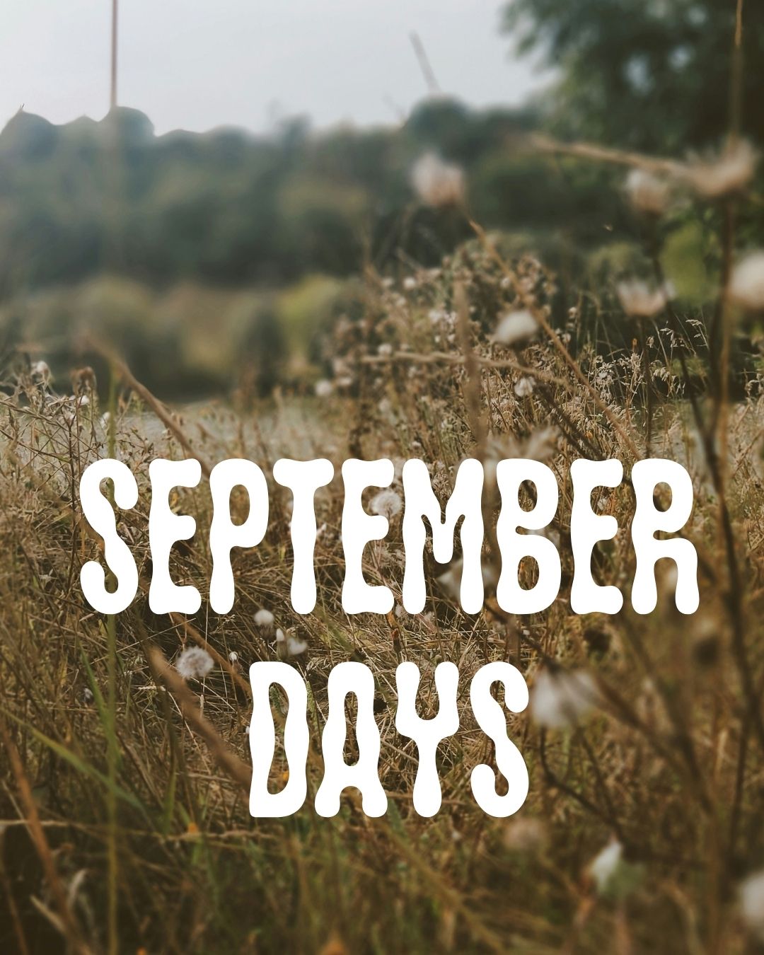 September: A Monthly Muse