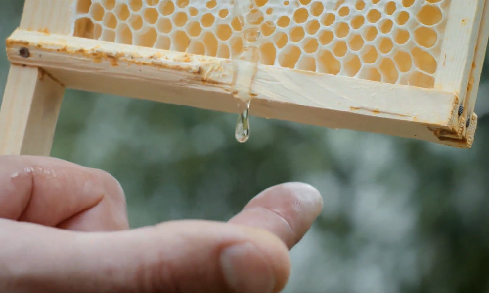 Why is Honey so Good for You?