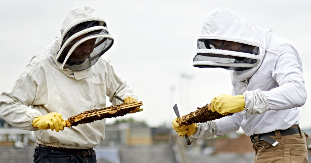 The Benefits of Being a Beekeeper