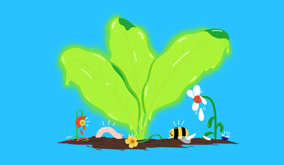 Neonicotinoids and why they need to stay banned