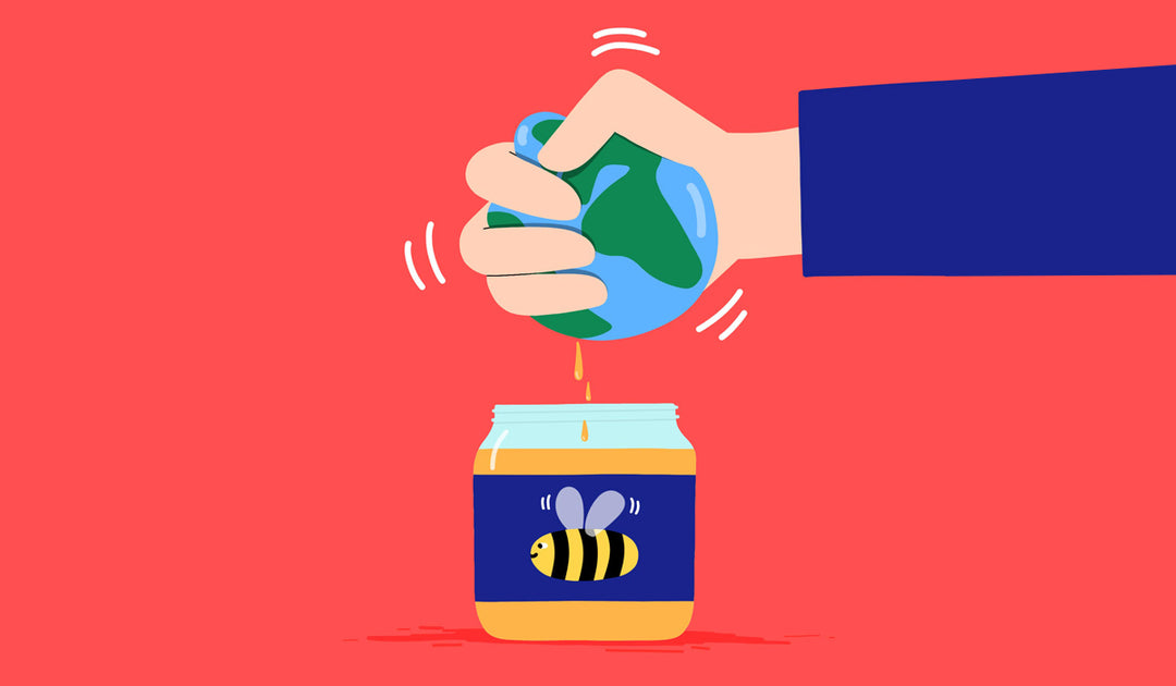 Supermarkets' Sustainability Promises have left British Beekeepers and Bees Behind