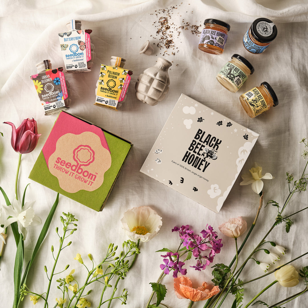 World Bee Day Bundle - 4 Seasons Honey Gift Box & 4 Seedbombs