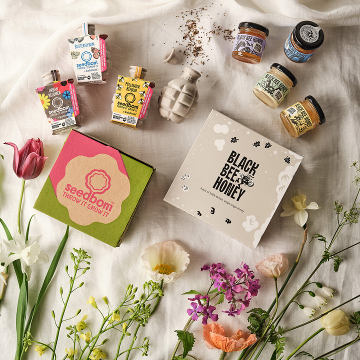 World Bee Day Bundle - 4 Seasons Honey Gift Box & 4 Seedbombs