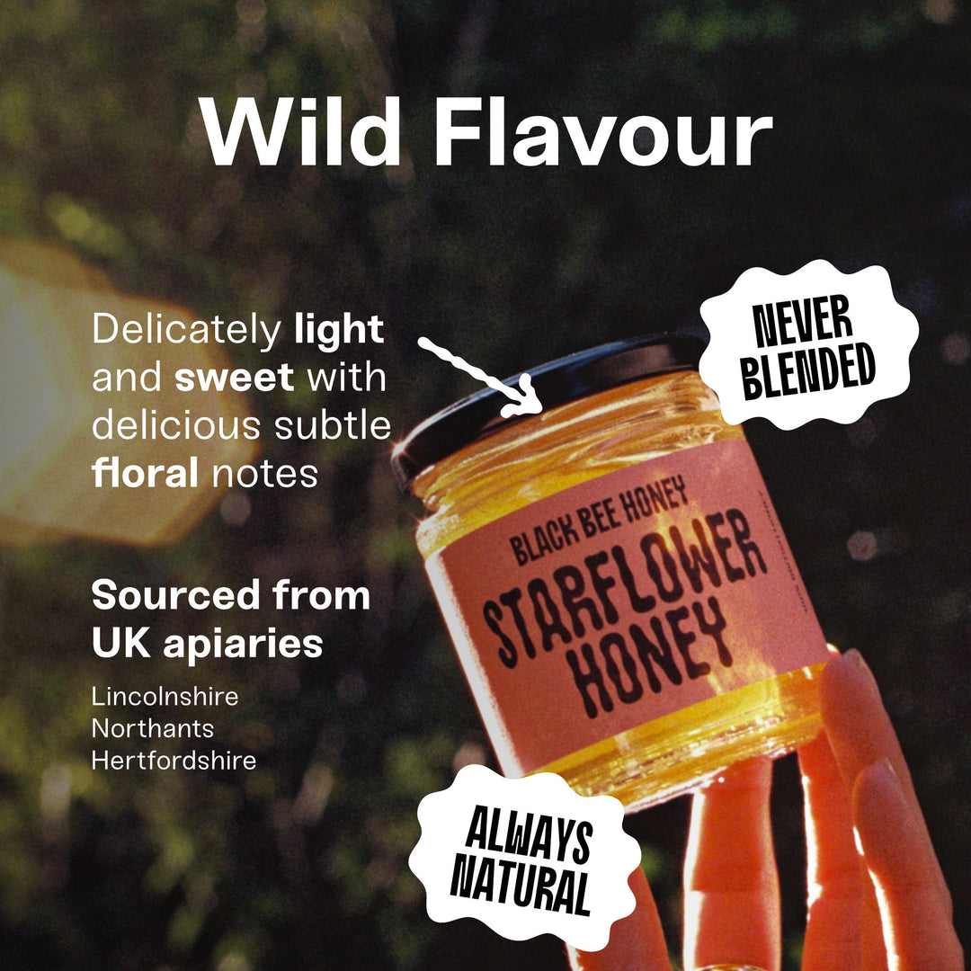 Raw Starflower Honey