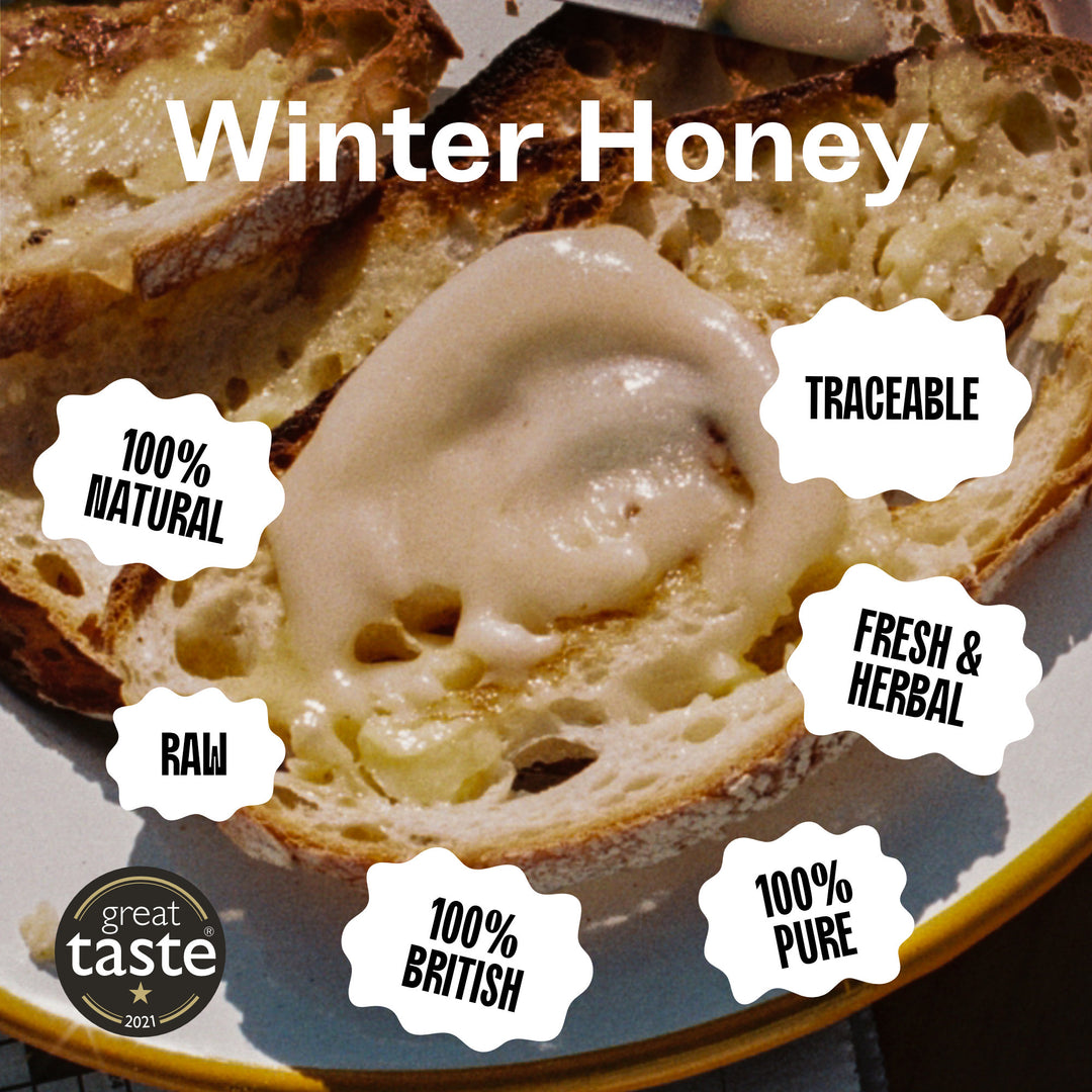 Raw British Winter Ivy Honey